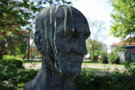 musterbild