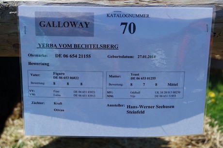 musterbild