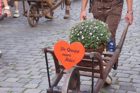 musterbild