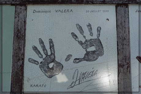 musterbild