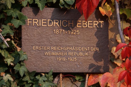 musterbild
