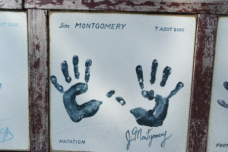 musterbild