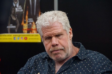 musterbild