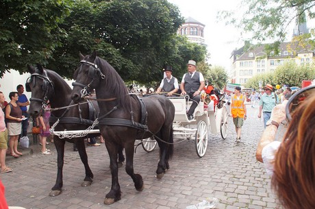 musterbild
