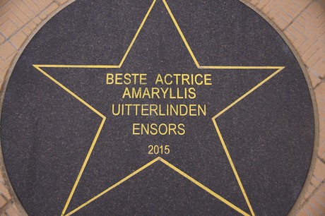 musterbild