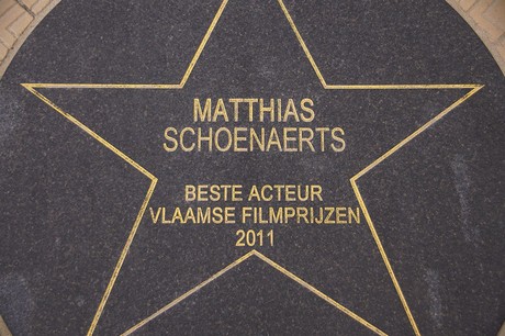 musterbild