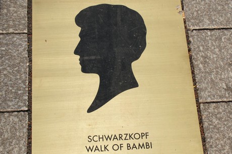 Schwarzkopf