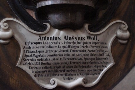 antonius-aloysius-wolf