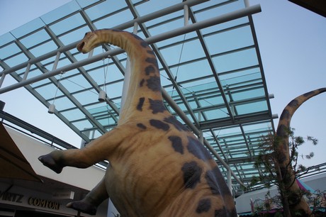 Apatosaurus