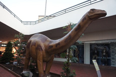 brontosaurier