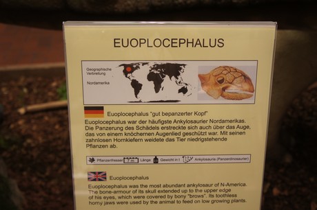 euoplocephalus
