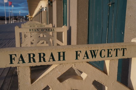 farrah-fawcett