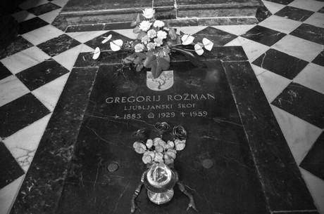 gregorij-rozman