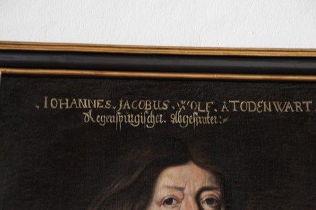 joannes-jacobus-wolff