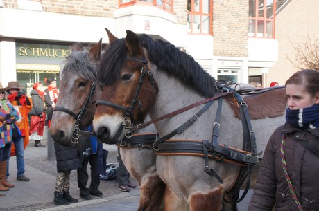 lechenicher-stadtgarde