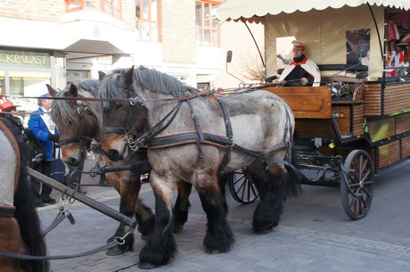 lechenicher-stadtgarde