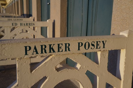 parker-posey