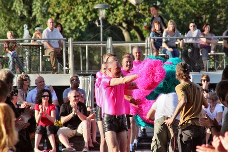 pink-poms