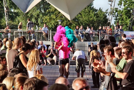 pink-poms