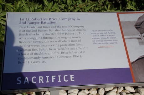 robert-moffatt-brice