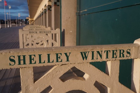 shelley-winters