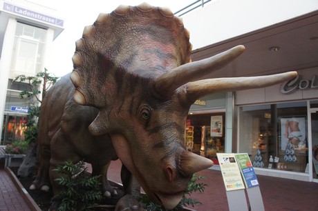 triceratops