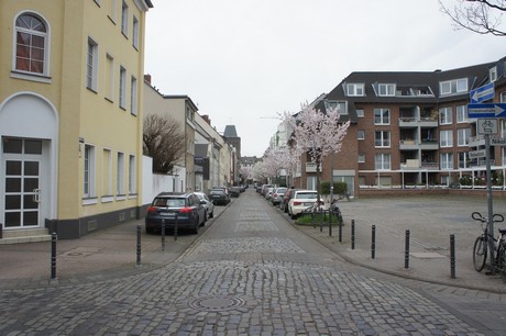 suelz