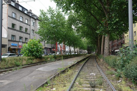 suelz