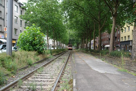 suelz