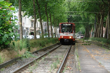suelz