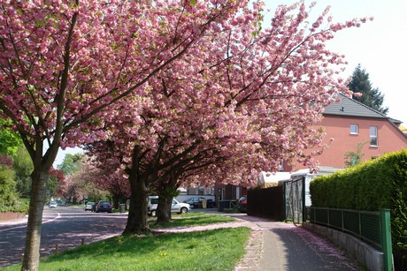 gruener-weg