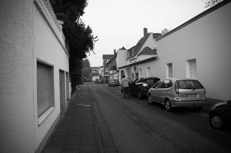 weiden