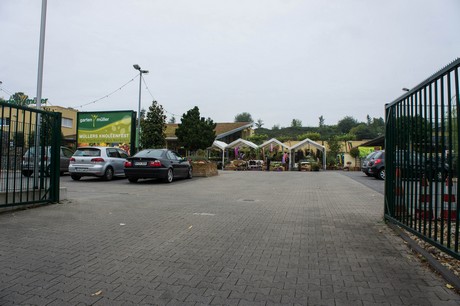 weiden