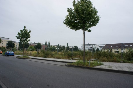 weiden