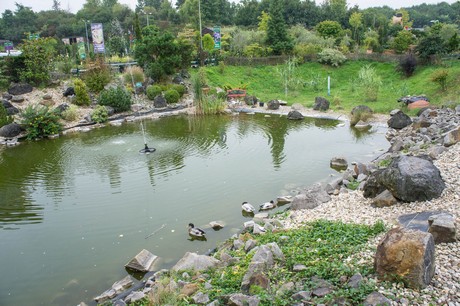 weiden