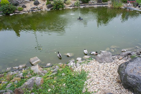 weiden