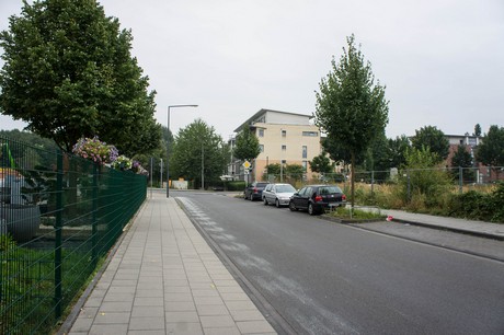 weiden