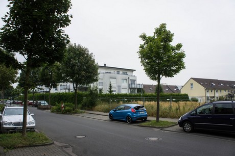 weiden