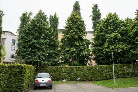weiden