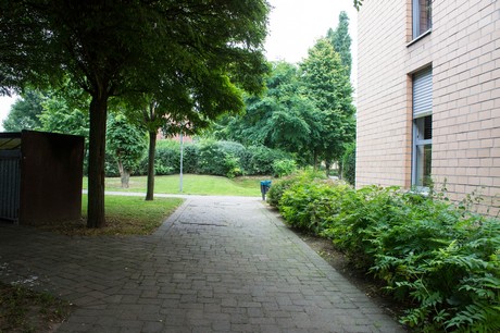 weiden