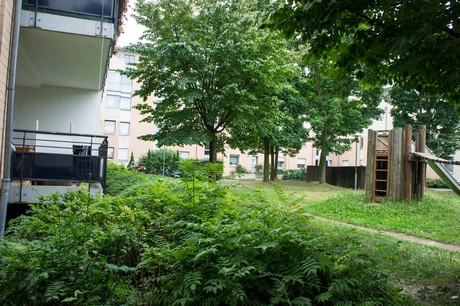 weiden