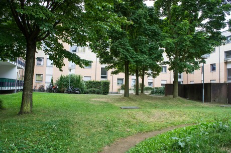 weiden