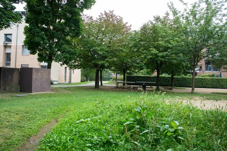 weiden