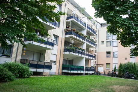 weiden