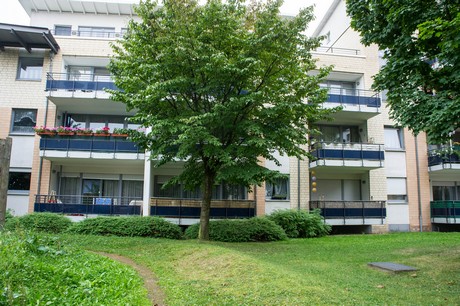 weiden