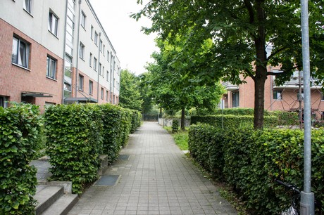 weiden