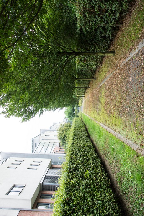 weiden