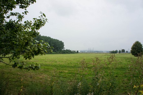 weiden