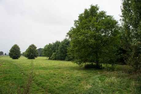weiden