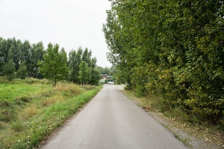 weiden